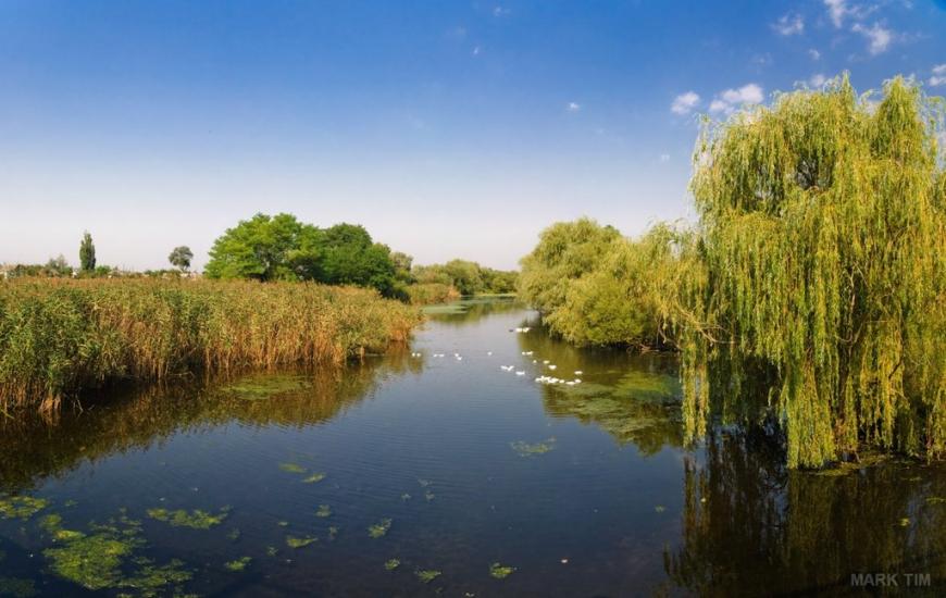 Борова з panoramio.com - Борова