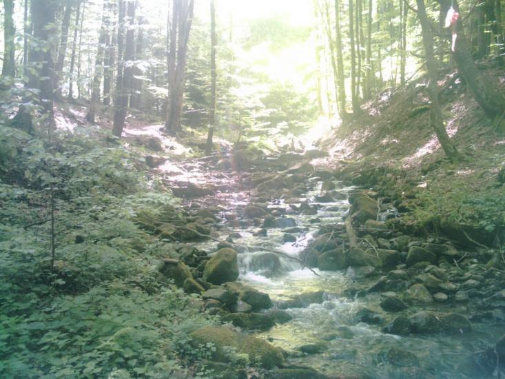 Яблунівка з panoramio.com - Яблоновка