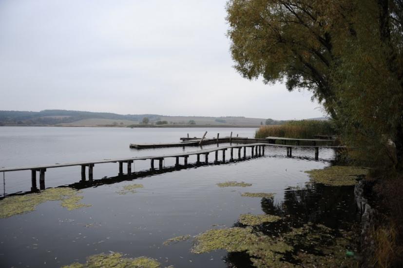 Заріччя з panoramio.com - Заречье