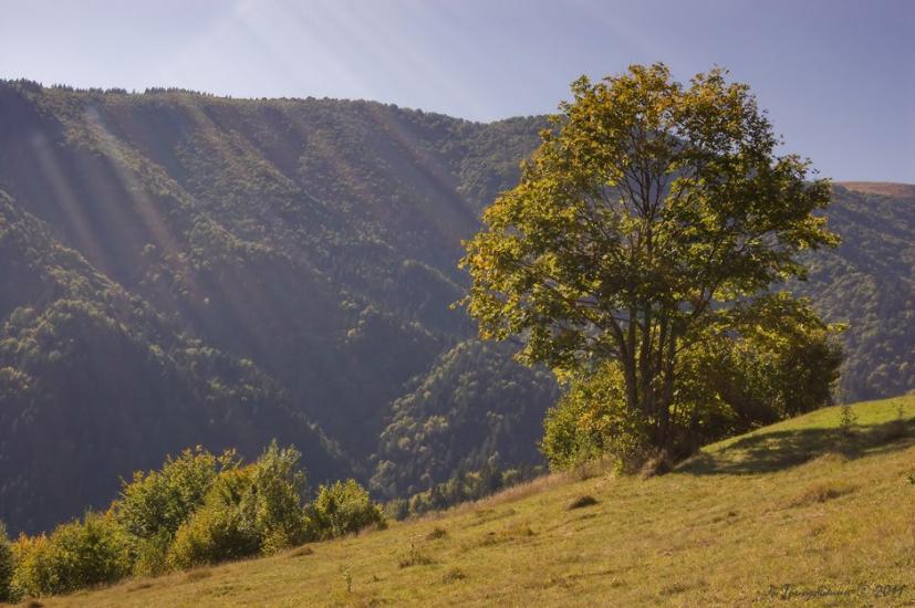 Кваси з panoramio.com - Квасы