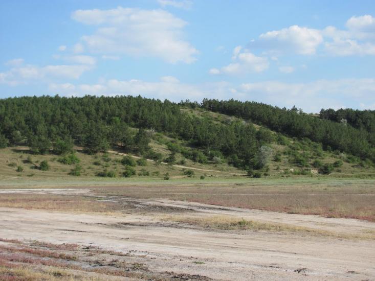 Калинівка з panoramio.com - Калиновка