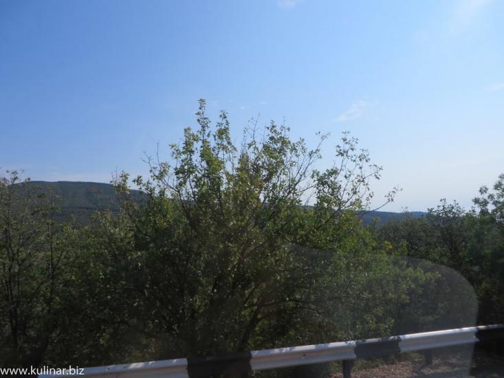 Семидвір'я з panoramio.com - Семидворье
