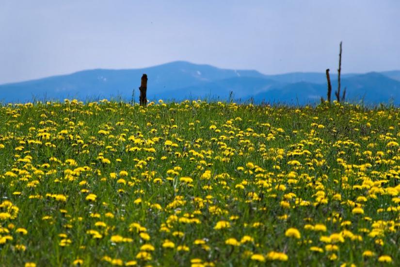 Біласовиця з panoramio.com - Bilasovytsya