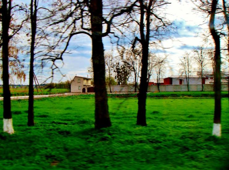 Тараща з panoramio.com - Тараща