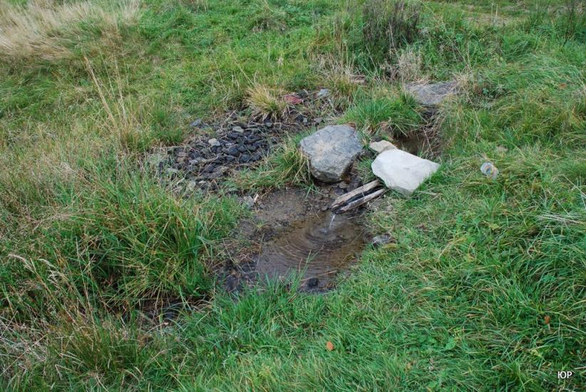 Тюшка з panoramio.com - Тюшка