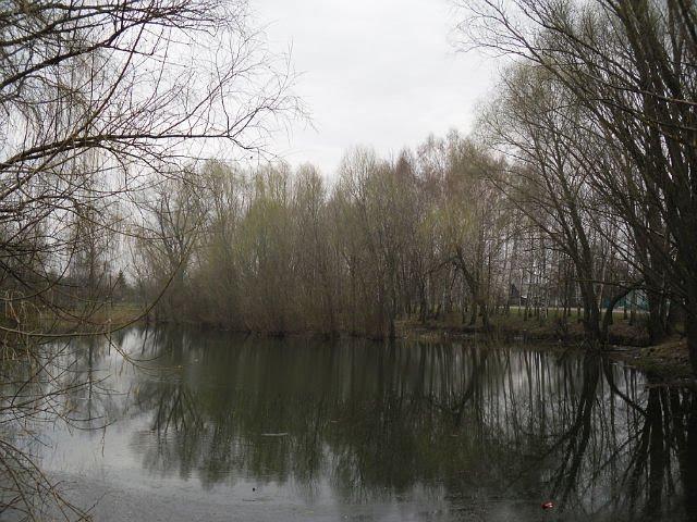 Вільшане з panoramio.com - Vilshane