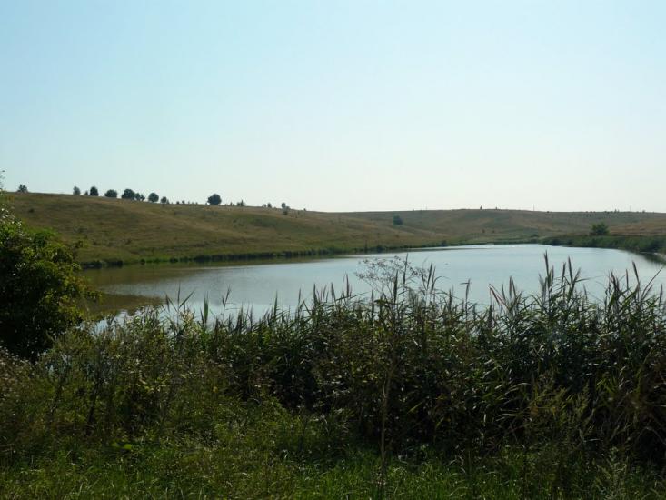 Сніжки з panoramio.com - Сніжки