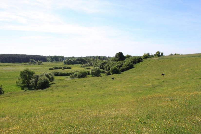 Райки з panoramio.com - Райки