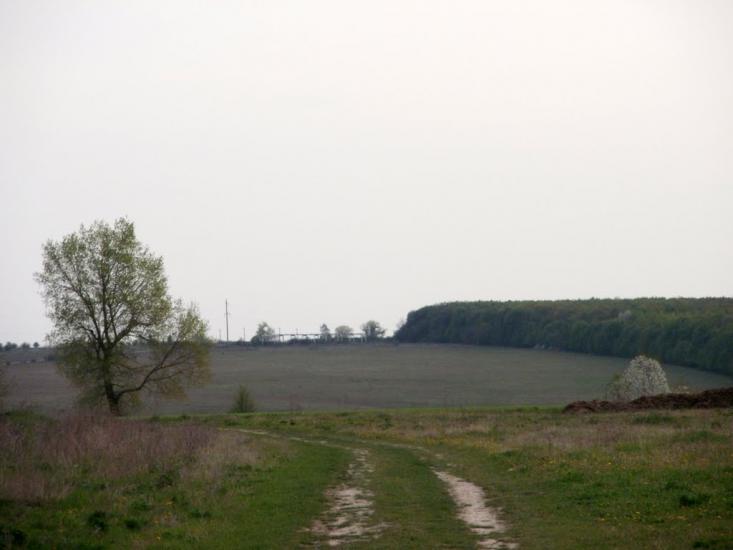 Любомирівка з panoramio.com - Любомировка