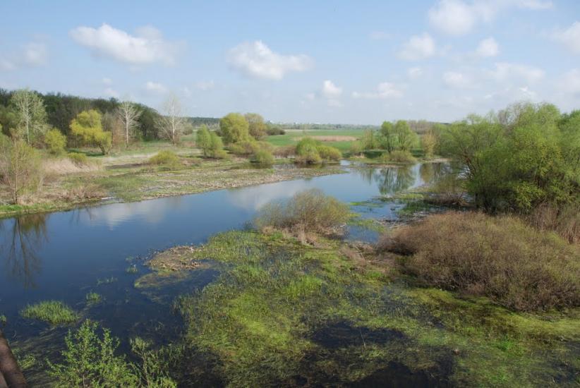 Байрак з panoramio.com - Байрак