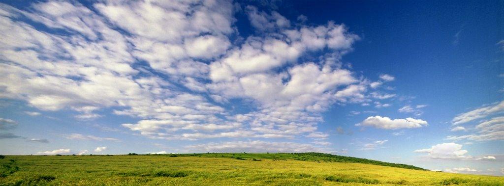 Підлисся з panoramio.com - Pidlyssya