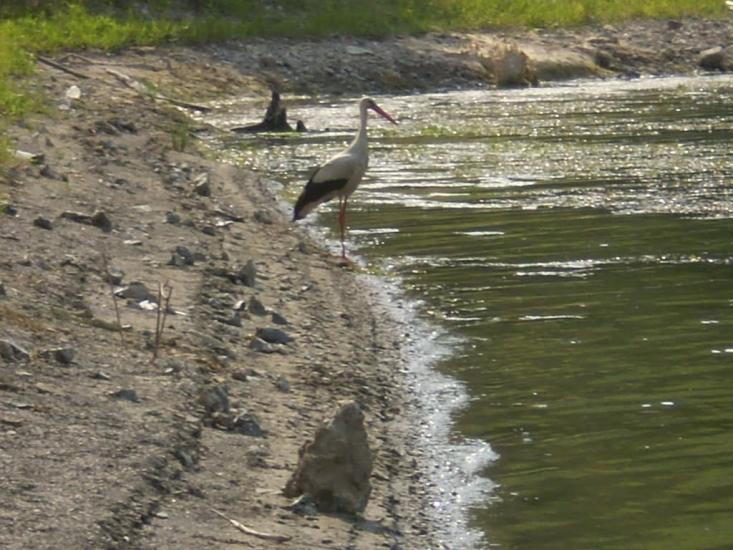 Березівка з panoramio.com - Березівка