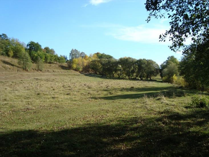 Думенки з panoramio.com - Думенки
