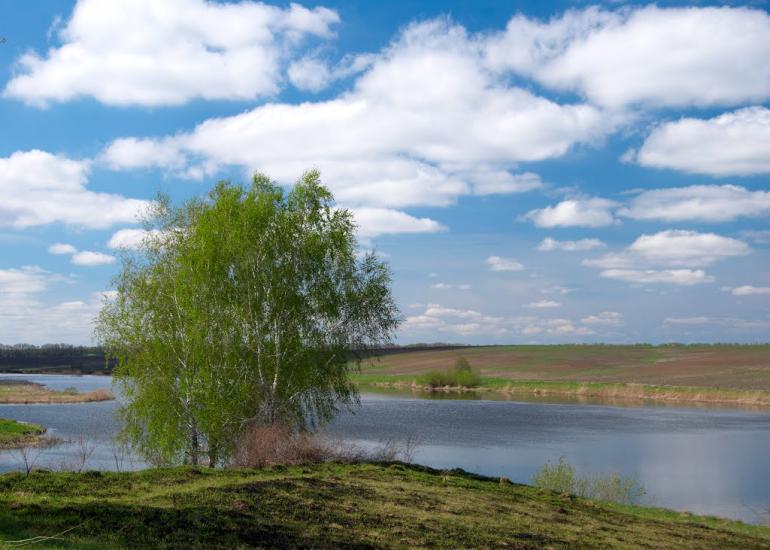 Півні з panoramio.com - Пивни