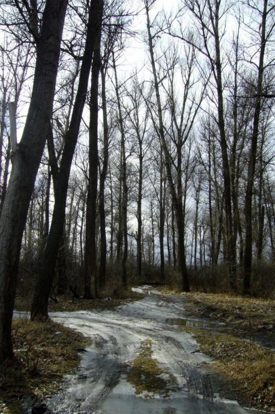 Рубці з panoramio.com - Рубцы