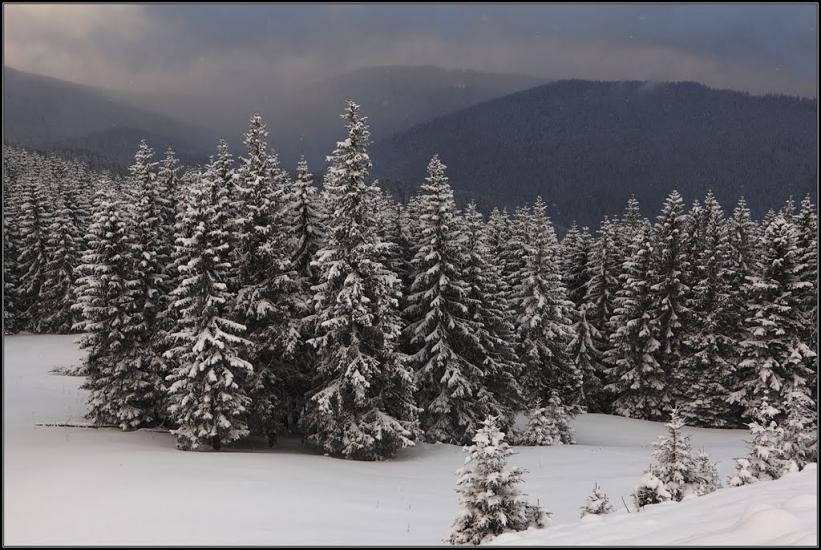 Кривопілля з panoramio.com - Кривопілля