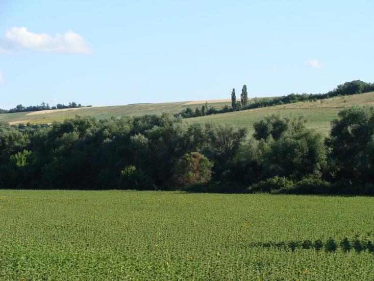 Лисогірка з panoramio.com - Лысогорка