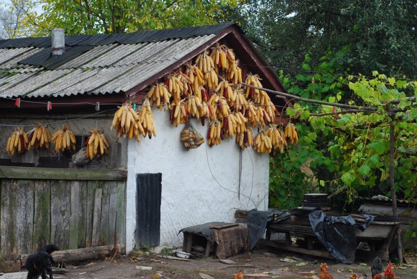 Остапівка з panoramio.com - Остаповка
