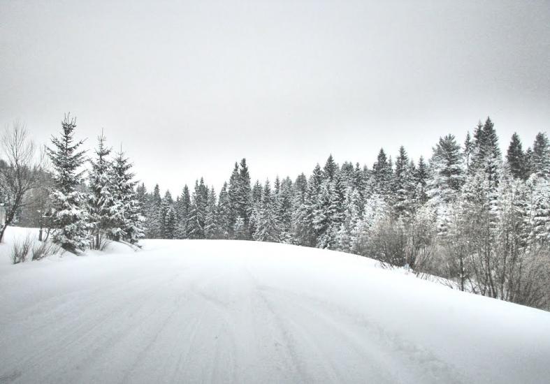 Нижня Яблунька з panoramio.com - Нижня Яблунька