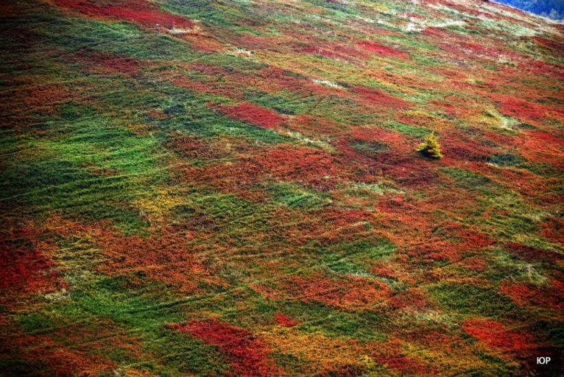 Сопки з panoramio.com - Сопки