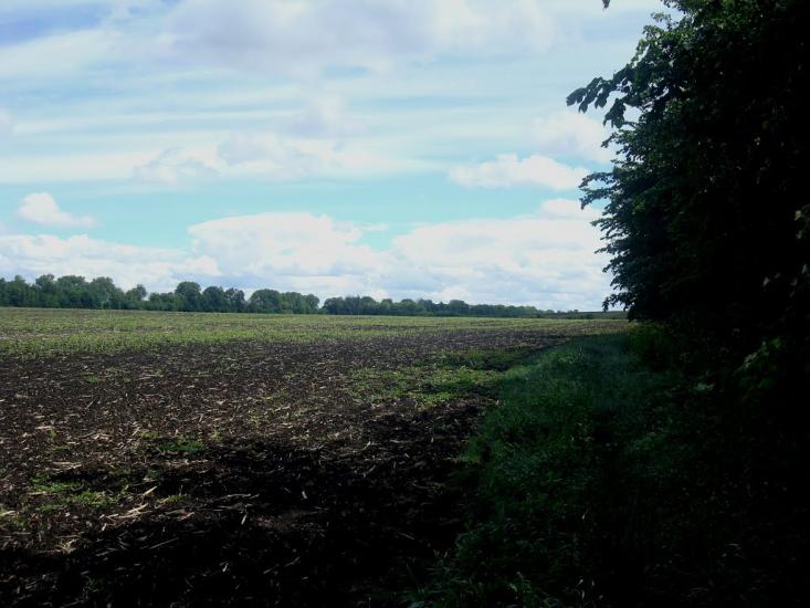 Жищинці з panoramio.com - Жищинці