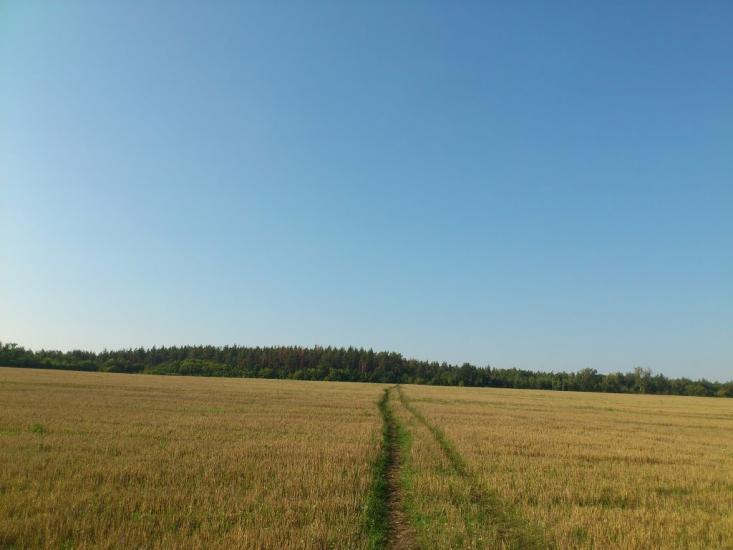Бірки з panoramio.com - Бірки
