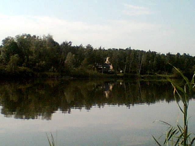 Нижньокринське з panoramio.com - Нижньокринське