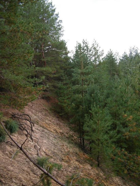 Вільхуватка з panoramio.com - Вільхуватка