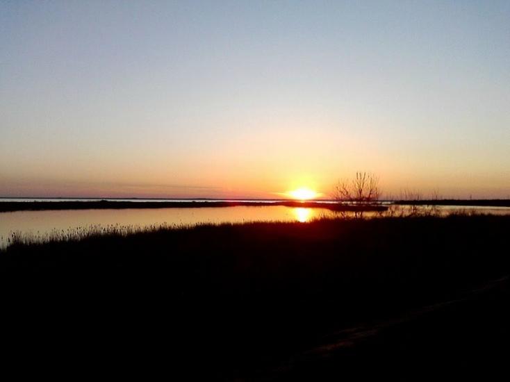Лиман з panoramio.com - Лиман