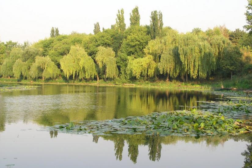 Новоархангельськ з panoramio.com - Новоархангельськ