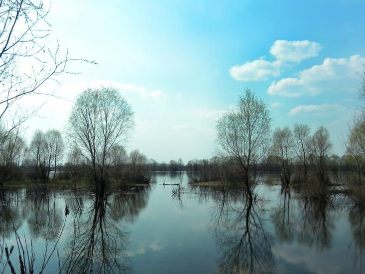 Губичі з panoramio.com - Губичі