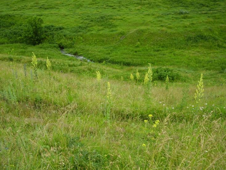 Сокиряни з panoramio.com - Сокиряни