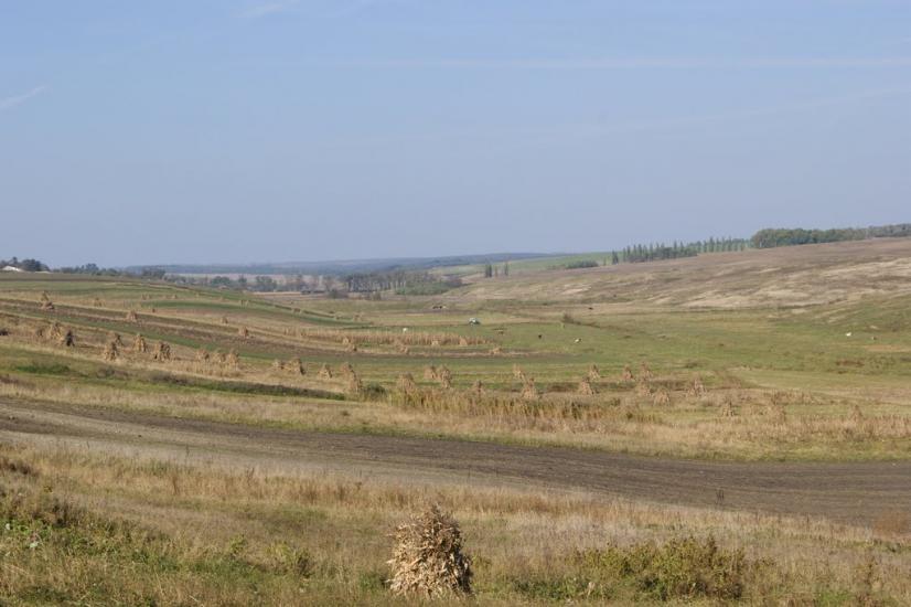 Несвоя з panoramio.com - Несвоя