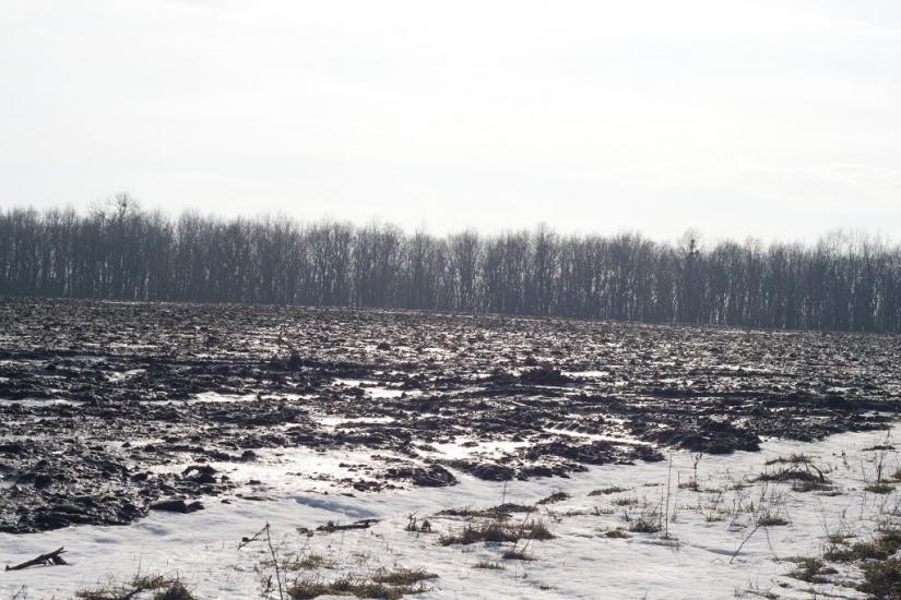 Коврай з panoramio.com - Коврай