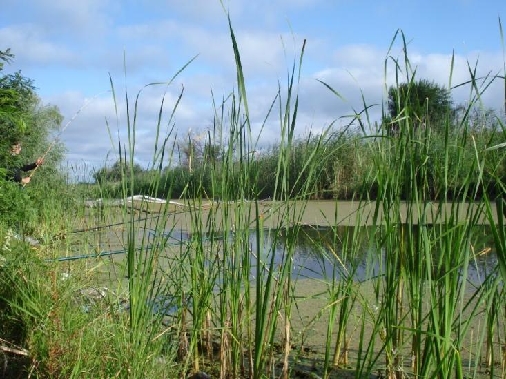 Дзержинське з panoramio.com - Дзержинское