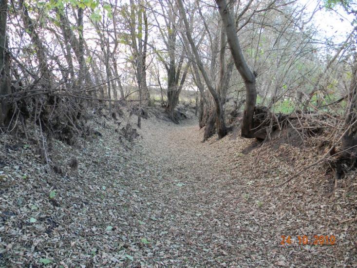 Бірки з panoramio.com - Бирки