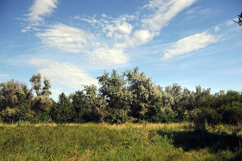 Олександро-Калинове з panoramio.com - Oleksandro-Kalynove