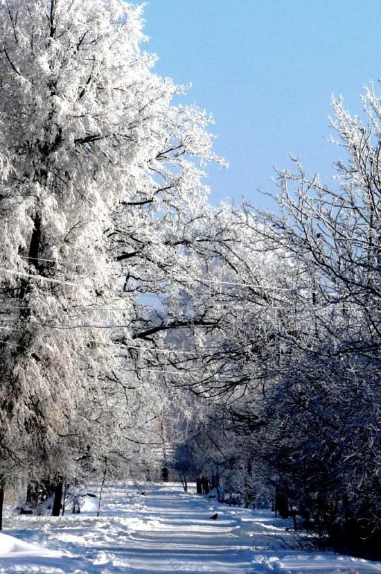 Гребінка з panoramio.com - Гребінка