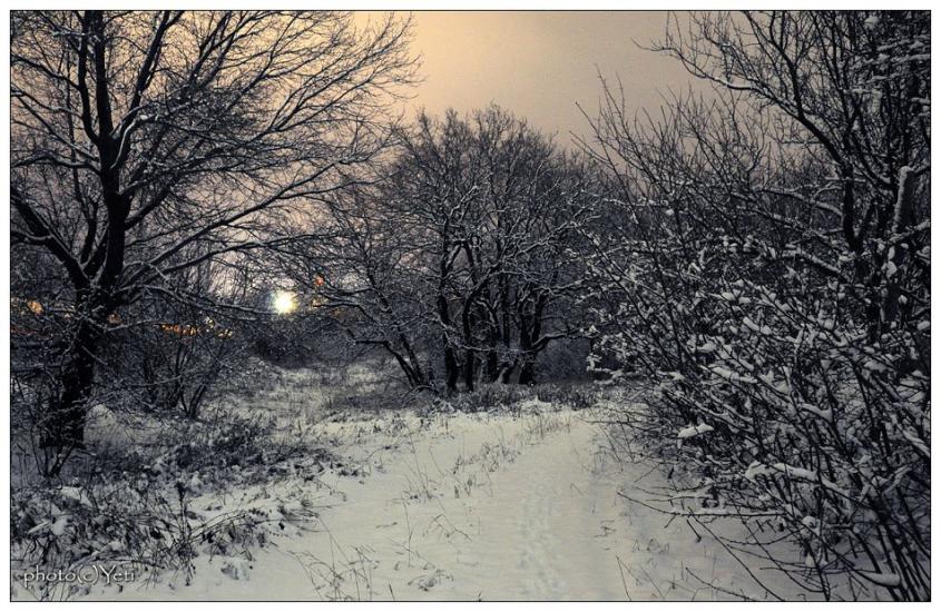 Молодогвардійськ з panoramio.com - Молодогвардейск
