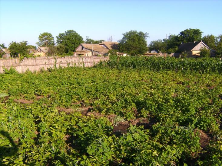 Комишівка з panoramio.com - Камышовка