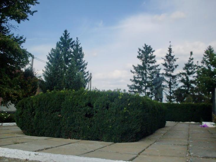 Кущинці з panoramio.com - Кущинцы