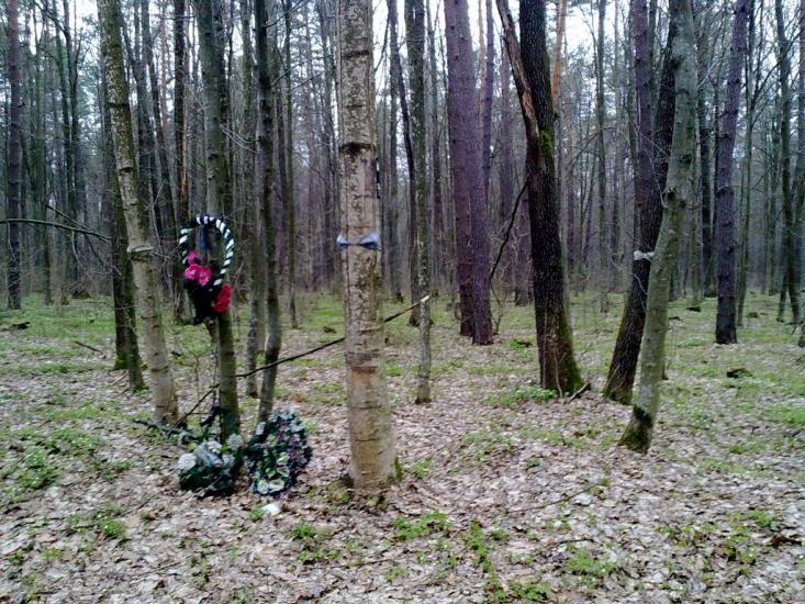 Хоровиця з panoramio.com - Хоровиця