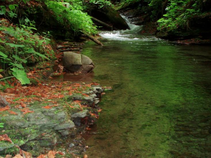 Лумшори з panoramio.com - Лумшоры