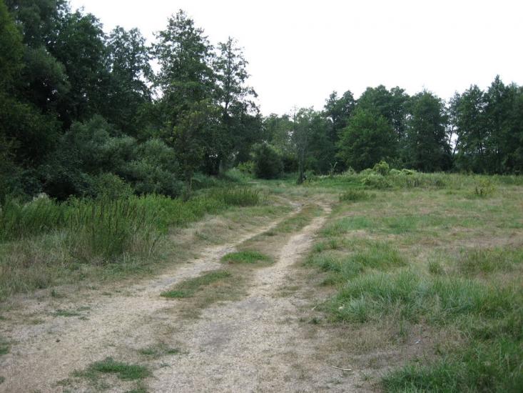 Пиротчине з panoramio.com - Пиротчино