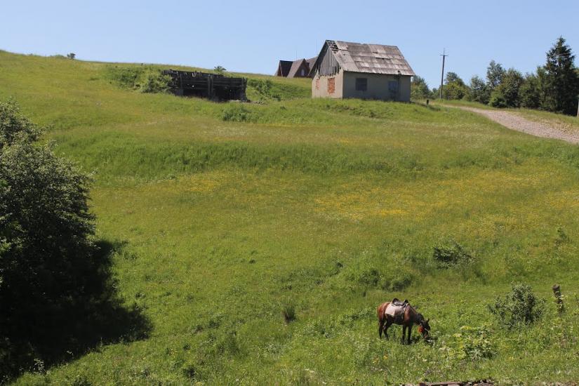Стригальня з panoramio.com - Strygalnya