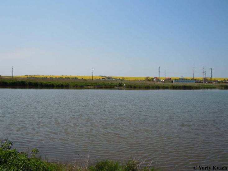 Грибівка з panoramio.com - Грибовка
