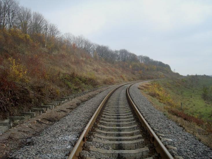 Кузьминчик з panoramio.com - Кузминчик