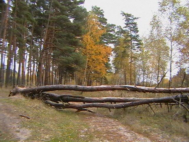 Огірцеве з panoramio.com - Огурцово