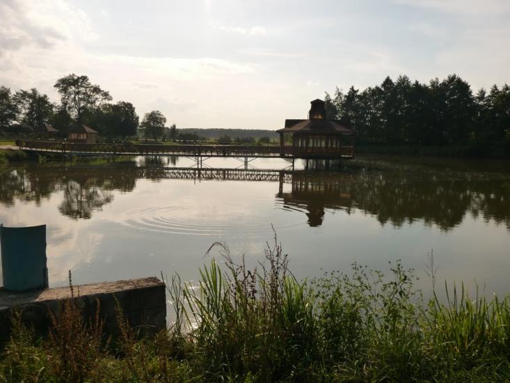 Старі Кривотули з panoramio.com - Старі Кривотули