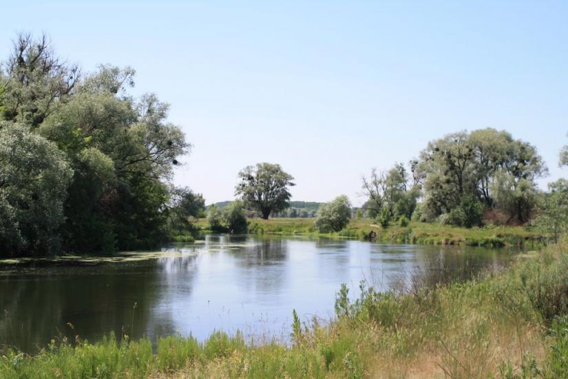Мохнач з panoramio.com - Мохнач